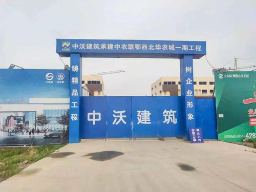 中農聯(lián)皖東南涇縣農產品批發(fā)市場盛大開工，助力區(qū)域農業(yè)產業(yè)升級