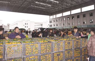 上饒農產品交易城 打造集交易、展覽、展示于一體的綜合性國際農副產品與鞋帽批發(fā)新樞紐